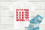 Load image into Gallery viewer, Scorpio T-Shirt
