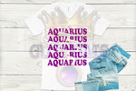 Load image into Gallery viewer, Aquarius T-Shirt
