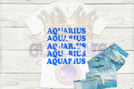 Load image into Gallery viewer, Aquarius T-Shirt
