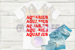 Load image into Gallery viewer, Aquarius T-Shirt
